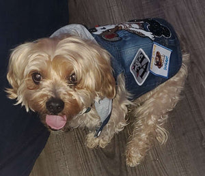 Exclusive "Patched Up Pups" Denim Doggie Vest With Hood, Sizes (XS-XL), Great for all dogs, Gifts For Pets, Gift For Pet Owners; Vest ONLY!